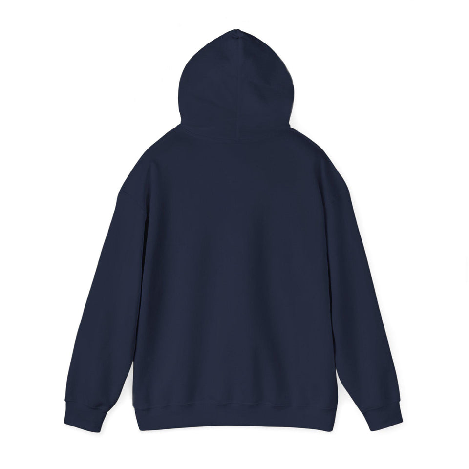 Faith & Freedom crest Hoodie | Patriotic, Faith-based July 4th vintage Americana