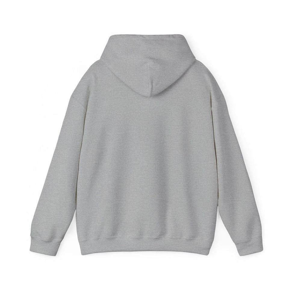 Faith & Freedom crest Hoodie | Patriotic, Faith-based July 4th vintage Americana