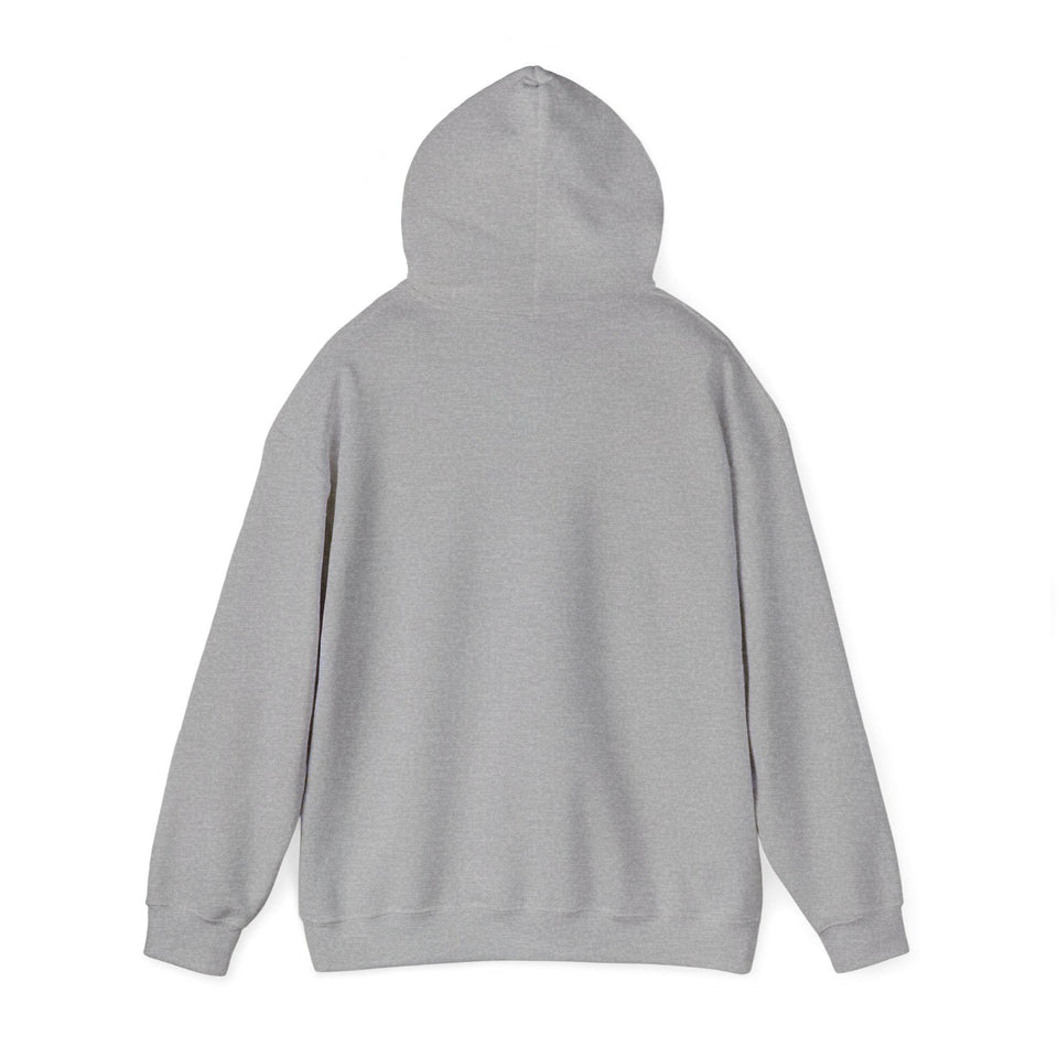 Faith & Freedom crest Hoodie | Patriotic, Faith-based July 4th vintage Americana